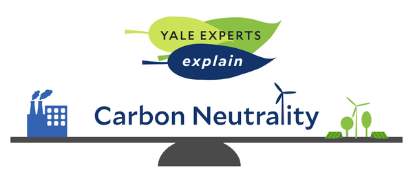 Carbon offsetting and green gas: Chasing fairy tale of climate-neutral future or key tools in net zero’s arsenal?